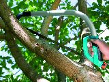 La poda de �rboles